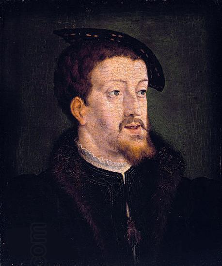 Jan Cornelisz Vermeyen Portrait of Charles V (1500-58), emperor of the Holy Roman Empire China oil painting art